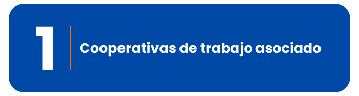 segmentacion birisk-03