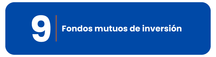 segmentacion birisk-09