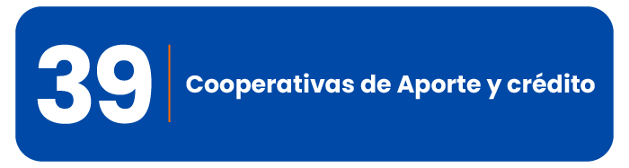 segmentacion birisk-10